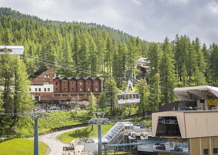 Petit Palais ברויל-קרוויניה